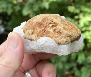 Salt from the Dead Sea collected on a rock 