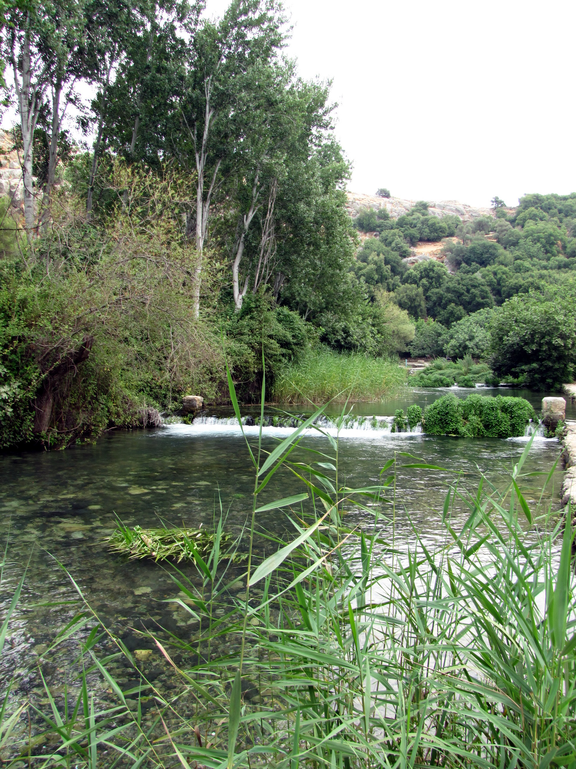 Water Springs at Banias