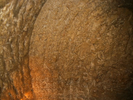 Pick marks in Hezekiah's Tunnel