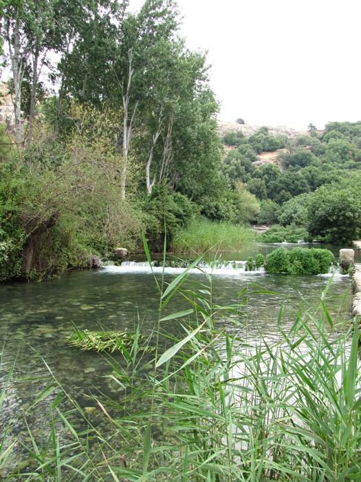 Banias Water Spring at base of Mount Hermon , caesarea Philippi