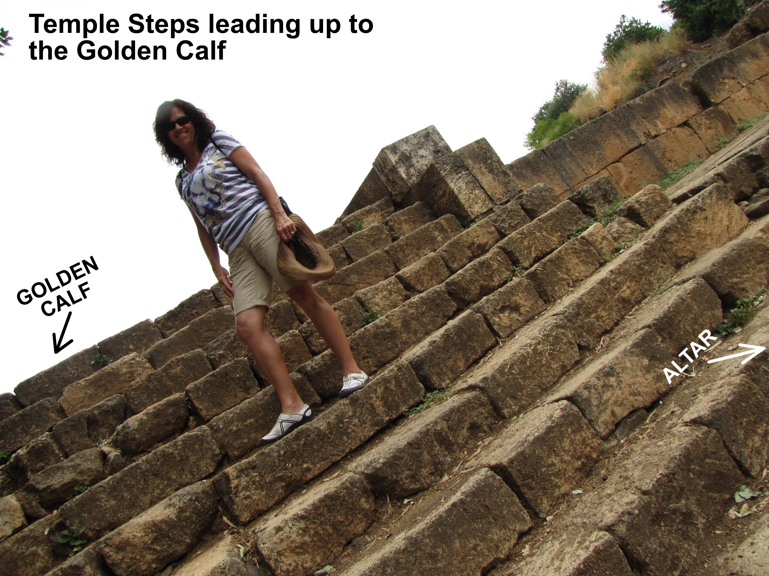 Golden Calf Shrine Temple steps to platform in Dan Israel