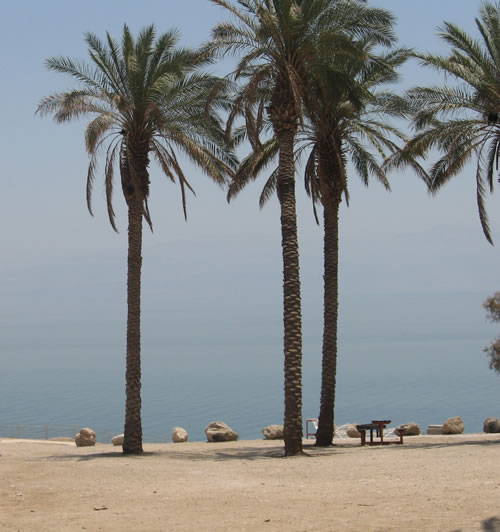 Dead Sea