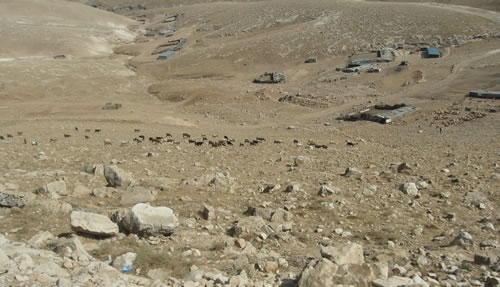 Israel - Going To Jericho from Jerusalem