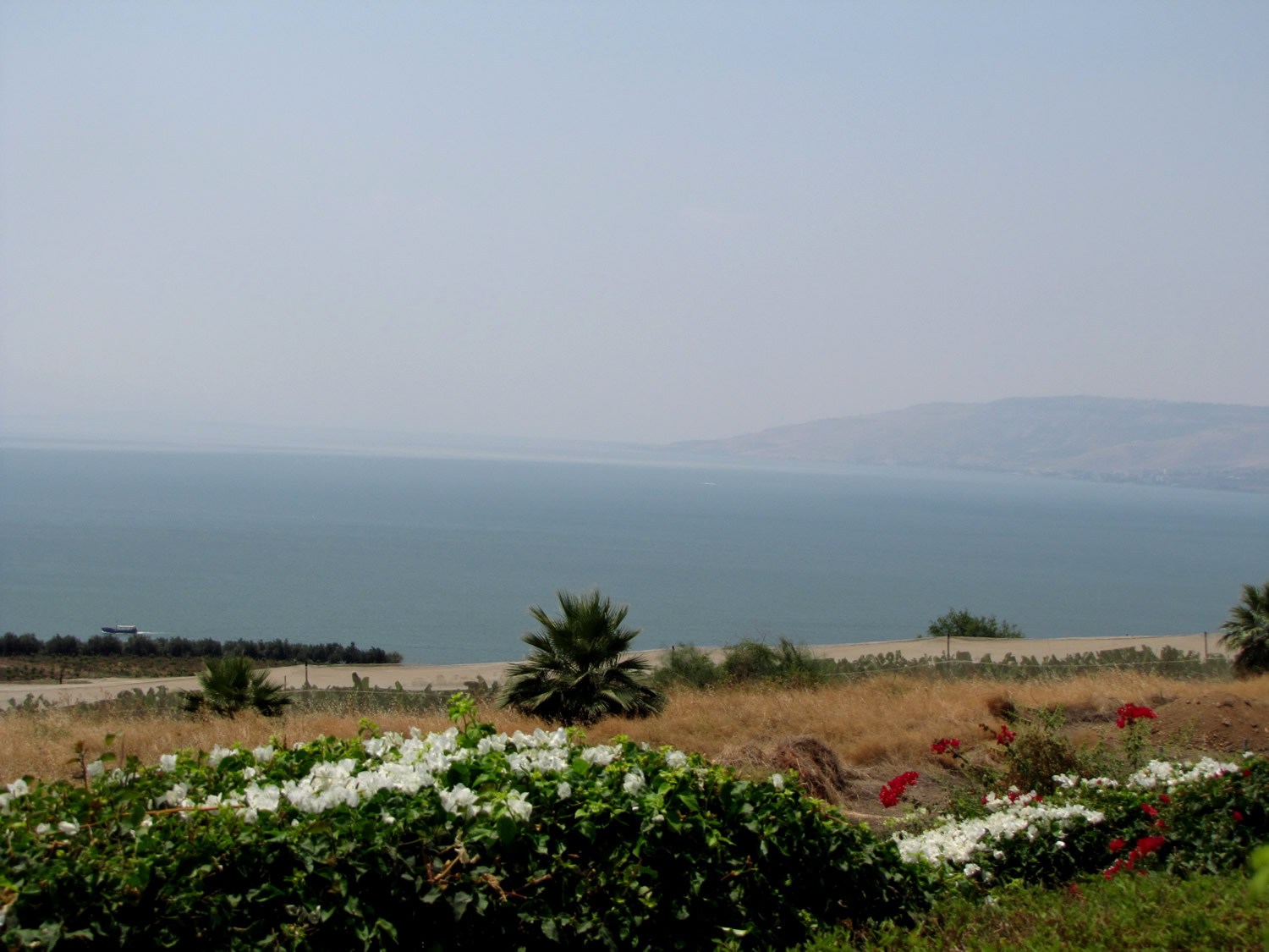 Beatitudes_Matthew_5_Sermon_on_Mount_north_Shore_Sea_of_Galillee