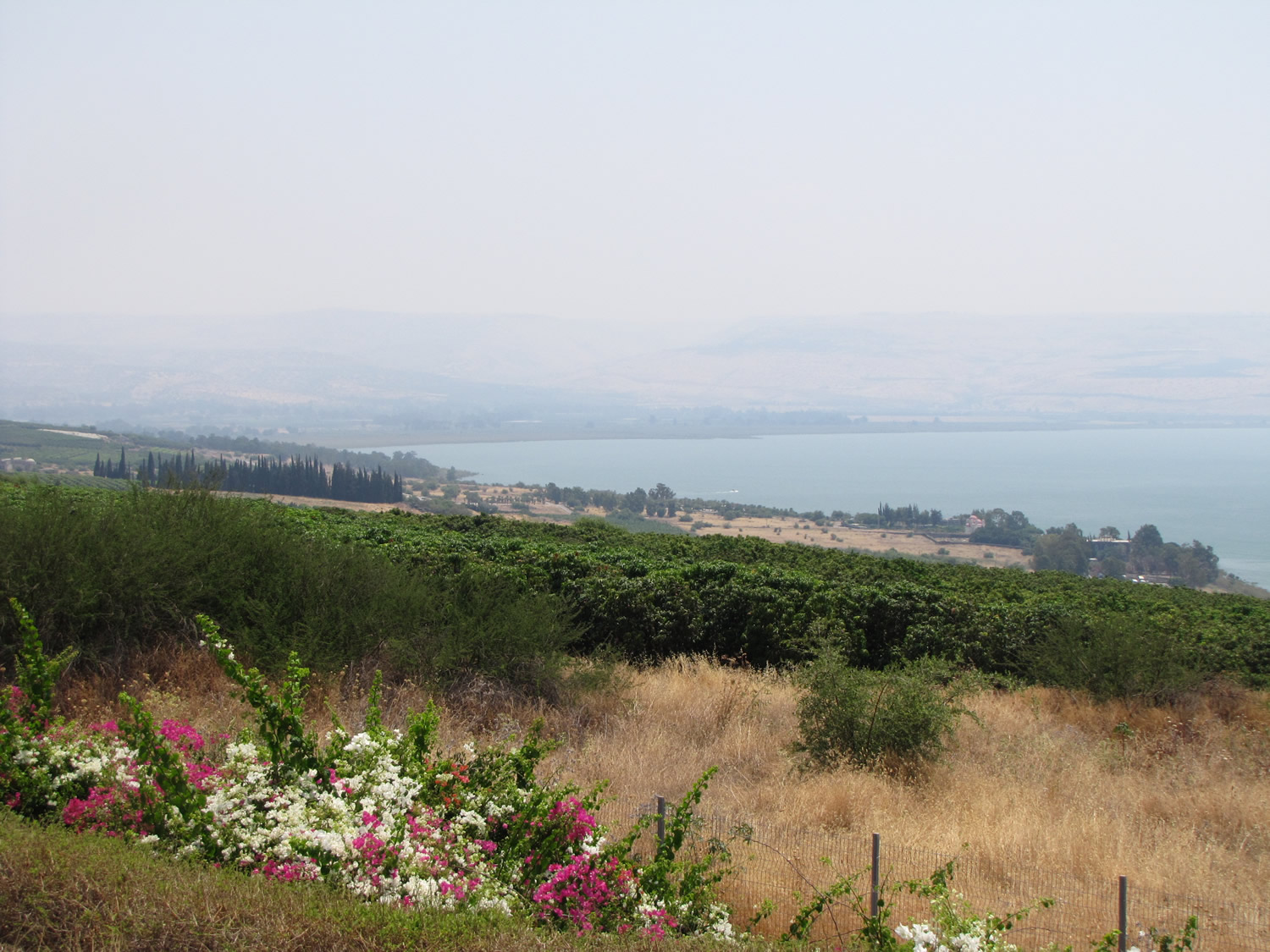 Sermon_on_Mount_Mt_5-looking_east_on_north_shore_Galillee