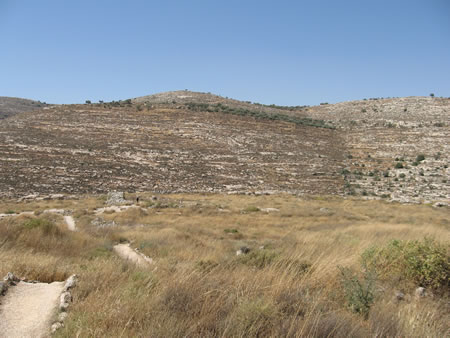 Israel - Hills of Ephraim at Shiloh