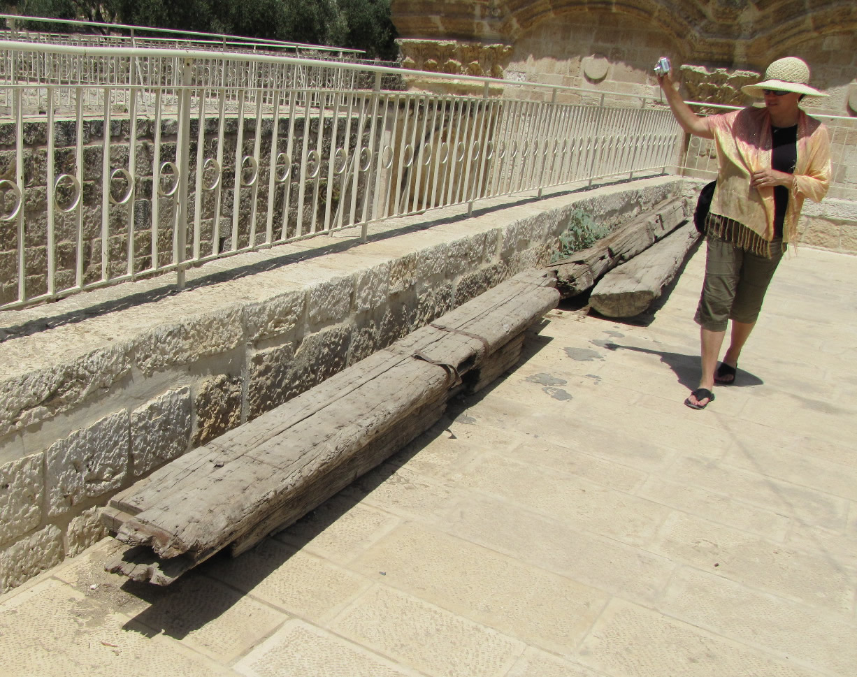 Ancient cedar or cypess beams on Temple Mount from Phoenicia Old Testament Solomon, New Testament Herod, Lebanon, Hiram king of Tyre