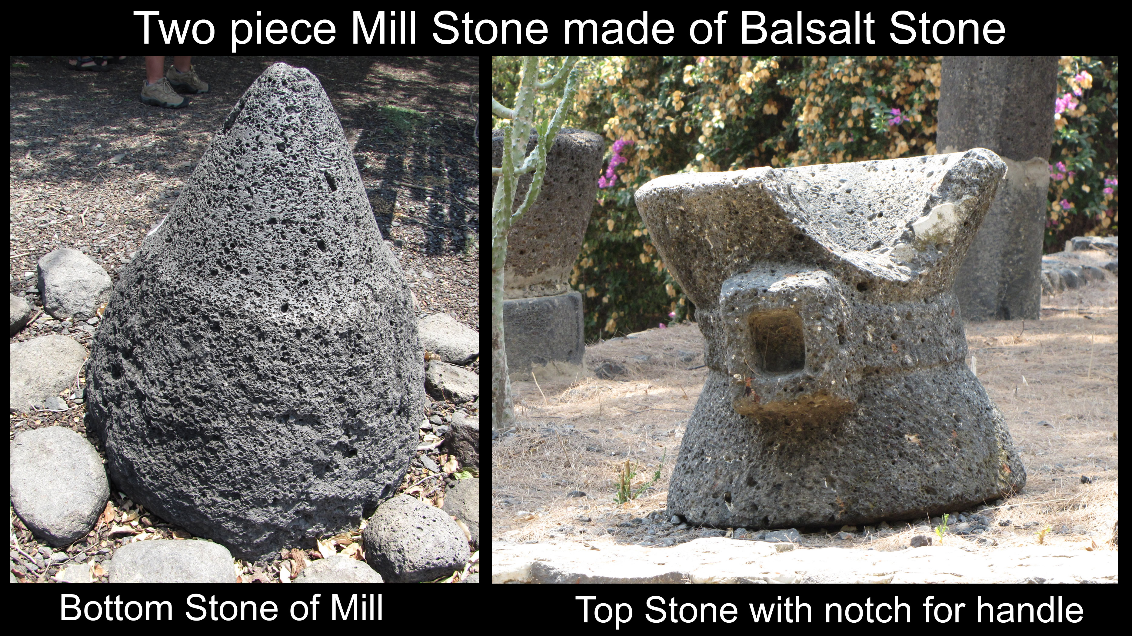 Bottom cone shaped mill stone and rotating top mill stone 