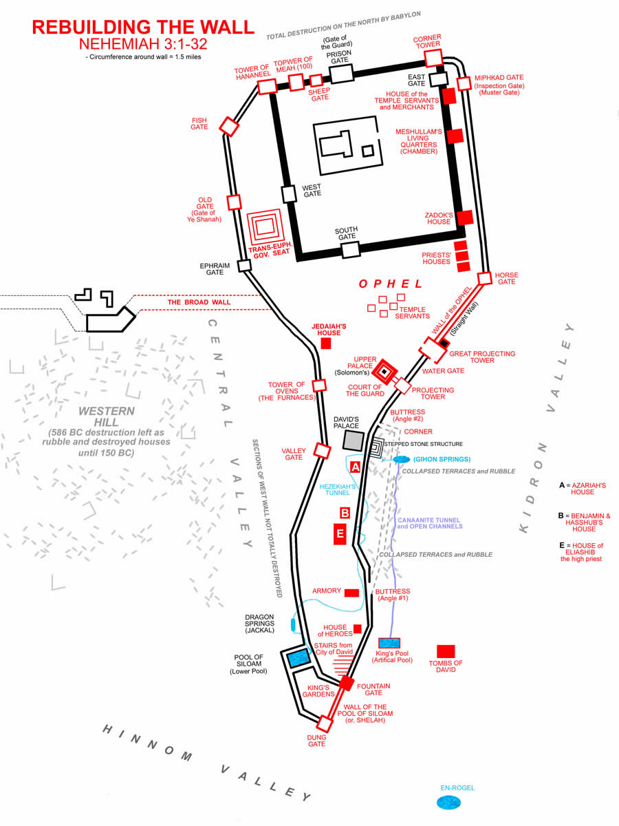 Nehemiah Builds the walls in Nehemiah 3:1-32