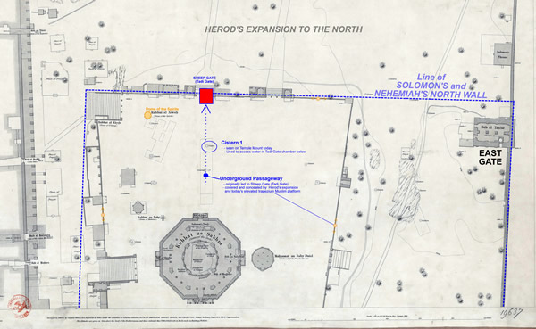 Warren's Temple Mount Drawing showing Sheep Gate or Tadi Gate Cistern