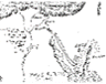 Map of Exodus 4:18-31, Moses Returns