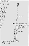 Map of Numbers 23-25, Balaam