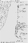 Map of Numbers 21-26, 33, Moab and Ammon