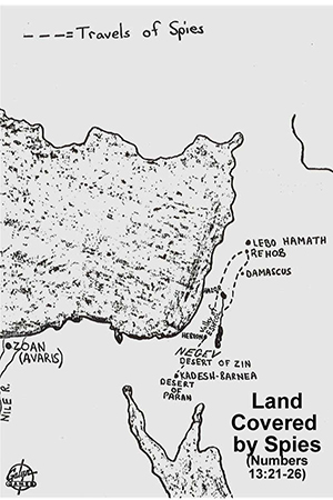 Numbers 13:21-26 - Land Covered by Spies