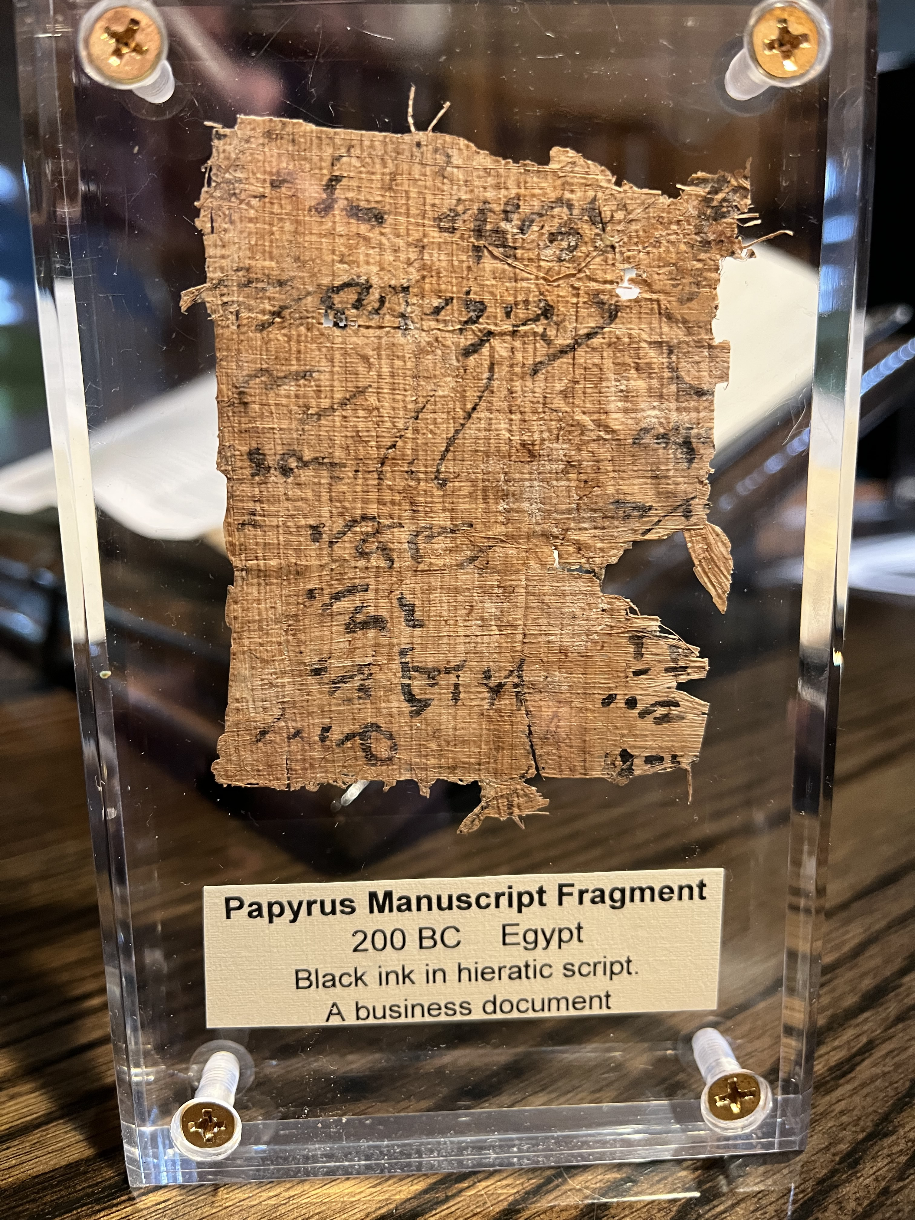 Papyrus Hellenistic 06